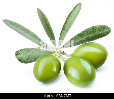 Drei grüne Oliven auf dem Ast. Objekt auf einem weißen Hintergrund Stockfoto