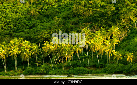 Abendsonne glitzert aus Kokosnuss-Palmen aus einer Insel auf den Yasawa Inseln, Fidschi Stockfoto