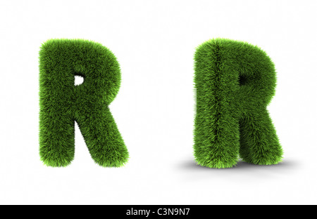 Grass Buchstaben R, isoliert auf weißem Hintergrund Stockfoto