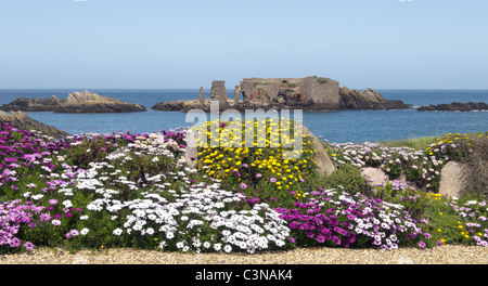 Fort-Les Homeaux Florains, Alderney, Kanalinseln Stockfoto