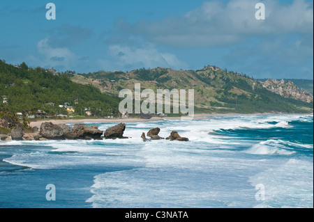 Bathsheba Beach Barbados, Caribbean. Stockfoto