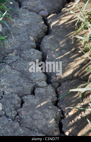 Ausgetrocknete England sehr Durststrecke Stockfoto