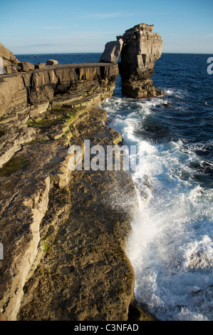 Kanzel Felsen in einem stürmischen Meer. Diese massive Kalkstein stack steht nur aus Portland Bill auf der Isle of Portland. Jurassic Coast, Dorset, England, UK. Stockfoto