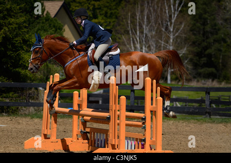 Rotes Pferd Segeln über eine Oxer springen bei einem Outdoor-Reitwettbewerb Stockfoto