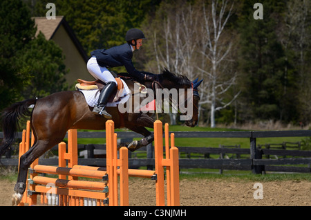 Vollblut Pferd Reiter über einen oxer Zaun an einer im Pferdesports zeigen Wettbewerb Ontario springen Stockfoto