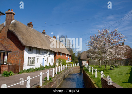 Strohgedeckte Hütten East Meon Hampshire Stockfoto