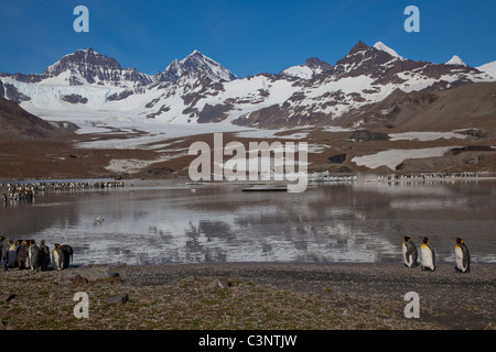 Berge im See bei St. Andrews Bay, South Georgia Island widerspiegelt Stockfoto