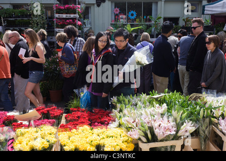 Massen Fuß vorbei an frischen Rosen und Lilien in Columbia Street Blumenmarkt, im Norden von London. Stockfoto