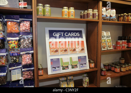 Tampa Florida, Temple Terrace, Bob Evans, Restaurant Restaurants Essen Essen Essen Essen Essen Essen Essen Cafe Cafés Bistro, Geschenkeinkäufe Shopper Shopper Shop Geschäfte Marke Stockfoto