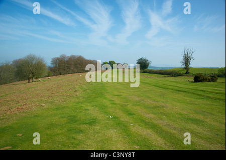 Abschnitt der Offa es Dyke Pfad auf Hergest Ridge, Kington, Herefordshire. Stockfoto