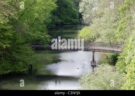 Eine Brücke über den Fluss Kelvin in den botanischen Gärten im West End von Glasgow, Scotland, UK Stockfoto