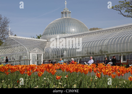 Kibble Palace viktorianisches Glashaus in den Botanischen Gärten im West End von Glasgow, Schottland, Großbritannien Stockfoto