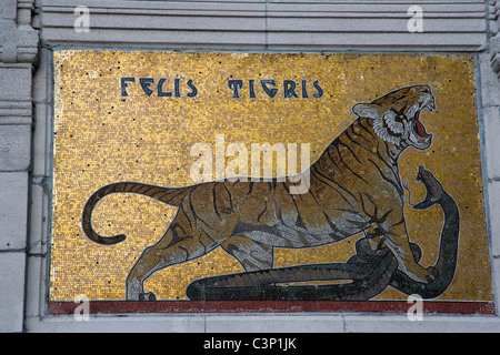 Tiger das inlay. Antwerpen Zoo-Eingangstor. Königin Astrid Platz. K. Astridplein. Antwerpen. Belgien Stockfoto