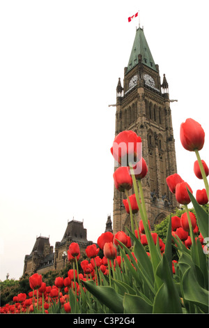 Kanadas Parliament Hill im Frühjahr Stockfoto