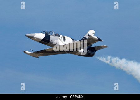 Das schwere Metall Jet Team - eine zivile Jet Bildung Kunstflugstaffel in den USA stationiert und fliegt das Flugzeug Aero L39 Albatros Stockfoto