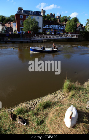 Vereinigte Königreich West Sussex Arundel eine weibliche Höckerschwan auf ihrem Nest sitzen Stockfoto