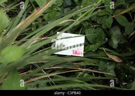 Tate St Ives Ticket im Rahmen der Garten von Barbara Hepworth, St Ives verworfen Stockfoto