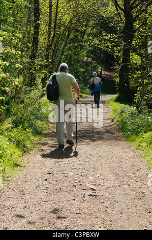 Älterer Mann und Frau zu Fuß auf einem Hügel-Pfad im Wald Stockfoto