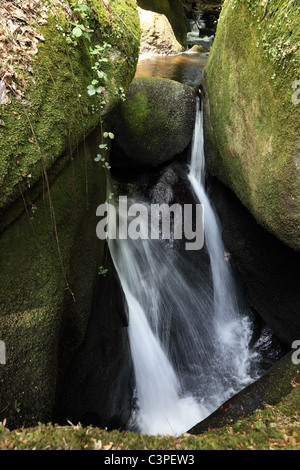 Der Fluss Argent fließt über Moos bedeckt Felsbrocken die Gouffre Huelgoat Finistere Bretagne Frankreich Stockfoto