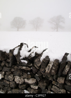 Steinmauer und Bäume im Schnee und Nebel, Wetton Hügel, Peak District, England Stockfoto