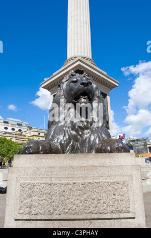 London, Westminster, Trafalgar Square, Bronze-Skulptur oder Statue Löwen auf Basis des Nelson Säule 1867 Sir Edwin Landseer Stockfoto