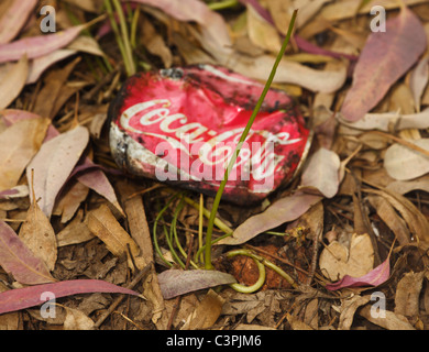 Alten zerkleinerte Coca-Cola können Verlegung auf Waldboden unter Blätter mit einzelnen robuste Grashalm wächst unterhalb es. Stockfoto