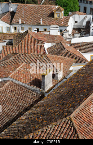 Dächer in Evora gesehen von der Kathedrale entfernt. Portugal. Europa. Stockfoto