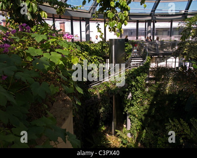 Innenraum der Wintergärten Sunderland Tyne and Wear, England UK Stockfoto