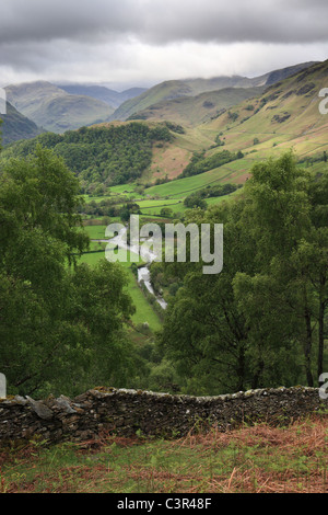 Borrowdale gesehen von Grange fiel, in der Nähe von Keswick, englischen Lake District, UK Stockfoto