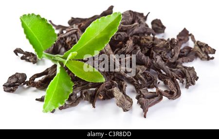 Haufen trockenen Tee mit grünem Tee-Blätter isoliert auf einem weißen Hintergrund. Stockfoto