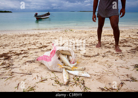 Fischer mit Boot und Fische am Strand, Lakkadiven, Lakshadweep, Indien Stockfoto