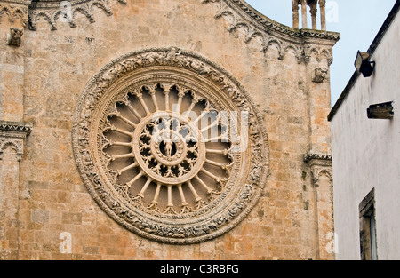 Nahaufnahme (Catherine) Rosette der Kathedrale Duomo in Ostuni, Provinz Brindisi, Apulien (Puglia) Region, Italien