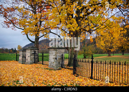 Ein bearbeitetes Eisen und Stein Tor an einem regnerischen Herbst-Tag In New York State, USA Stockfoto