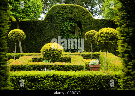 Hecke in den Laskett Gärten, Herefordshire, UK Stockfoto