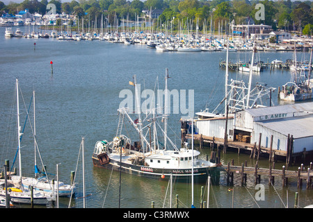 Krabben Sie-Boot im Dock in Hampton, Virginia Stockfoto