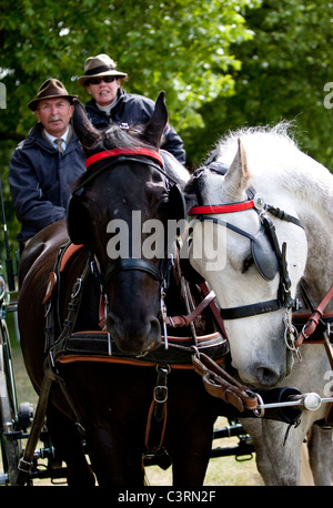 internationalen treibende Meisterschaft royal Windsor Horse show 2011 in England Großbritannien Stockfoto