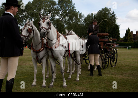 internationalen treibende Meisterschaft royal Windsor Horse show 2011 in England Großbritannien Stockfoto