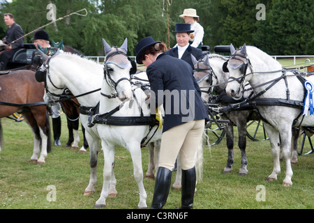 internationalen treibende Meisterschaft royal Windsor Horse show 2011 in England Großbritannien Stockfoto