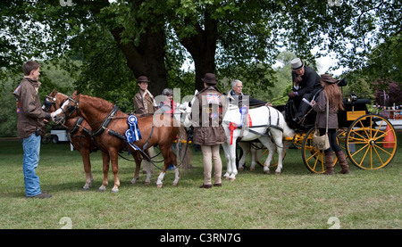 internationalen treibende Meisterschaft royal Windsor Horse show 2011 in England Großbritannien Stockfoto