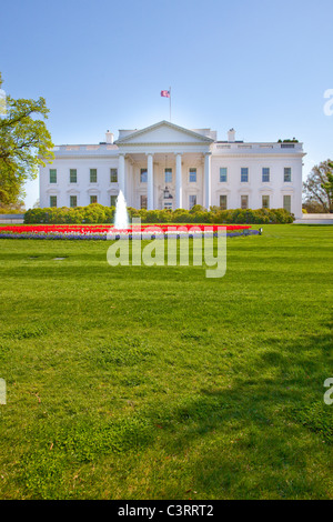 Das weiße Haus, Washington DC Stockfoto