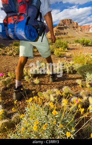 Schwarzer Mann Wandern im Canyon-Gebiet Stockfoto