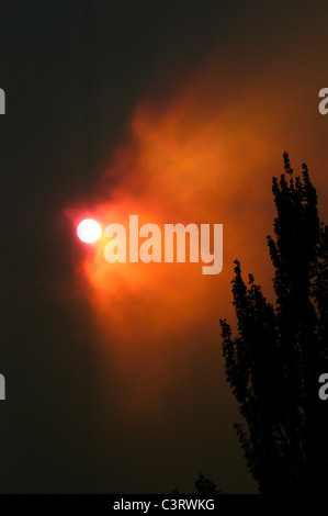 Abendsonne durch Rauch während der Saison 2003 ein Lauffeuer Wildfire im westlichen Montana Stockfoto