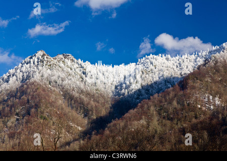 Great Smoky Mountains National Park, USA - Ansicht des Chimney Tops im Schnee Stockfoto