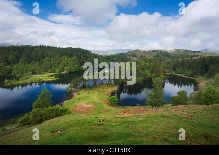 Tarn Hows. Lake District National Park. Cumbria. England. VEREINIGTES KÖNIGREICH. Stockfoto