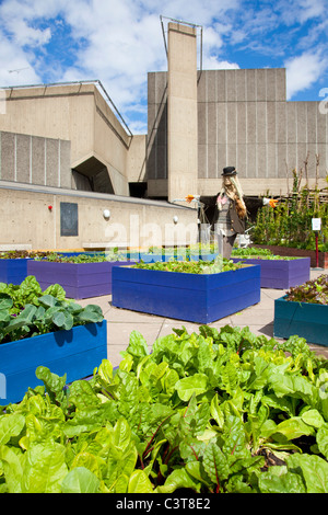 Dachgarten. Hochbeete von Obst und Gemüse auf dem Dach des Queen Elizabeth Hall, Southbank Centre, London, UK, Frühling. Stockfoto