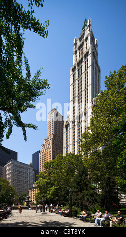 Woolworth Building in New York Stockfoto