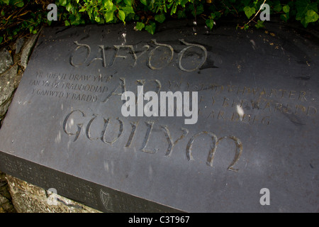 Dafydd ap Gwilym Gedenkstein Stockfoto