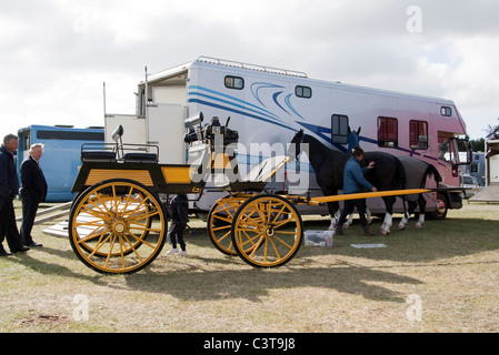 internationalen treibende Meisterschaft royal Windsor Horse show 2011 in England Großbritannien Stockfoto