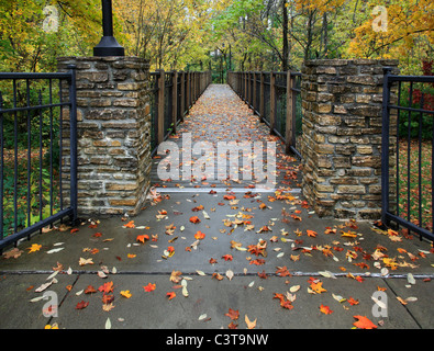 Eine Fußgängerbrücke an einem regnerischen Tag im Herbst im Park, Sharon Woods, südwestlichen Ohio, USA Stockfoto