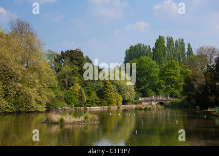 Brücke über den See in Pittville Park Cheltenham Gloucestershire GB UK EU Europa Stockfoto